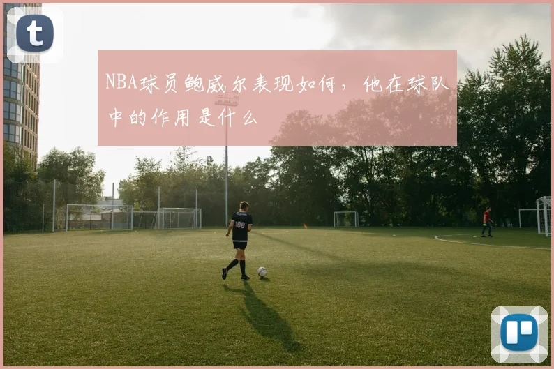 NBA球员鲍威尔表现如何，他在球队中的作用是什么