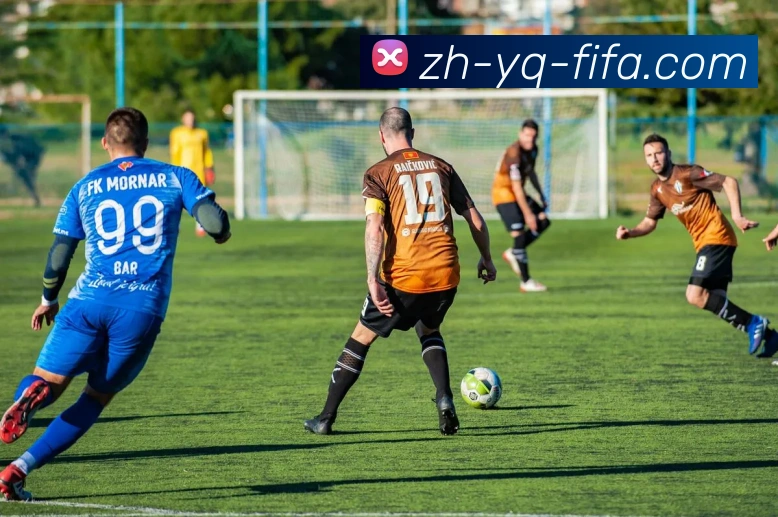 世界杯赛程服务体系